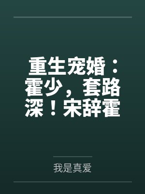 重生暖婚宋辞霍