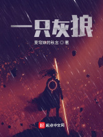 一只灰狼 一只灰狼