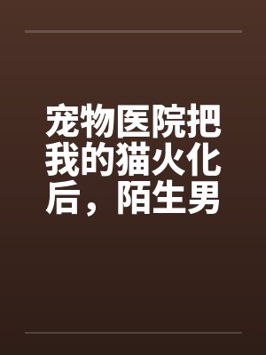 宠物医院把我的猫火化后,陌生男人说我是他老婆 宠物医院把我的猫火化后,陌生男人说我是他老婆