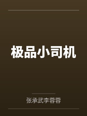 极品小司机