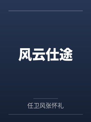 风云仕途