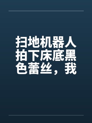 扫地机器人拍下床底黑色蕾丝,我反手送教授老公入狱 扫地机器人拍下床底黑色蕾丝,我反手送教授老公入狱