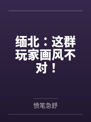 缅北：这群玩家画风不对！